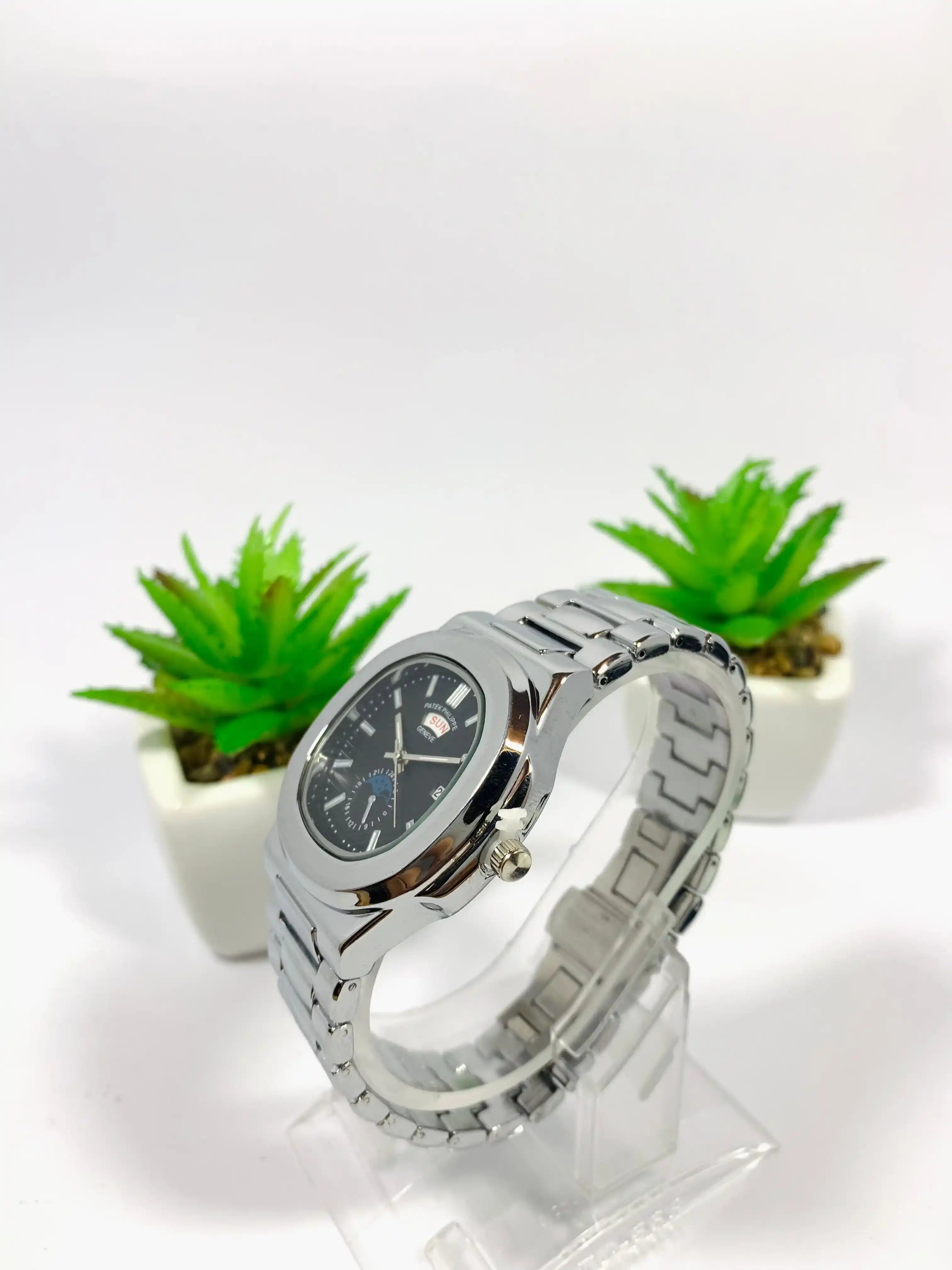 Patek Phillipe Silver Black Day And Date